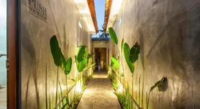 The Backyard Living - Image 3