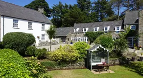 Yr Hen Felin - The Old Mill B&B - Image 2