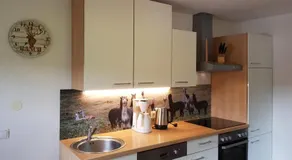 Familienorientierte Ferienwohnung mit Grill, Terrasse und Sauna | Haustierfreundlich - Image 3