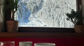 Pension DORFPLATZL Pitztal - Image 2