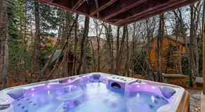 Escape Lodge - Hot Tub, Large Deck, Sauna, Gym - Image 5