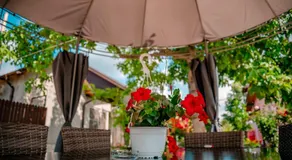 Pensiunea Happy Flowers - Image 3