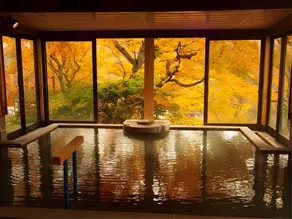 Matsukawaya Nasu Kogen Hotel - Image 2
