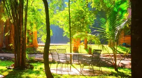 Elephant Safari Hotel - Image 5