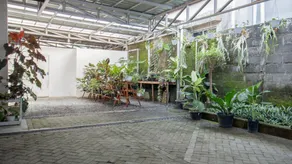 SWASA LIVING - Image 2