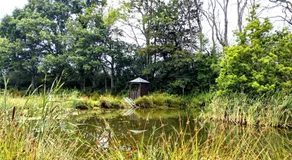 Snug & Secluded Lakeside Shepherds Hut 'Carp' - Image 3