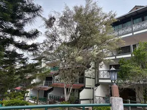 Equatorial Hill Resort, Mountain view Hilltop In Cameron Highlands - Image 3