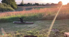 XXL Luksus Shelter - ved smuk natur og den flotteste solnedgang - Image 2