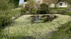 Les Pensions du Joslin - Image 5
