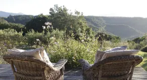 Forest Hills - Image 3