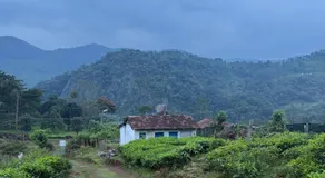 Organic Farmers Tent & Trekking - Image 5