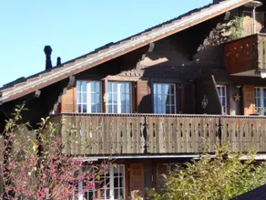 Ferienwohnung Résidence Sonnegg - Hein - Image 3