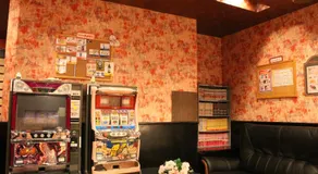 Pal Annex Ogawa - Image 3