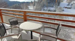 Apartmány u medvědů Krkonoše - Image 4