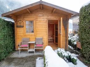 Apartment with Terrace in Hollersbach - Image 3