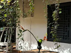 The Manci Jiangnan Courtyard Airbnb - Image 5