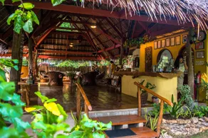 Oasis Resort - Image 3