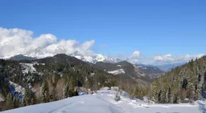 Innviertler Berggasthof - Image 4