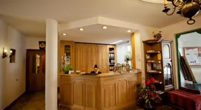 Hotel Alt-Ringlein - Image 4