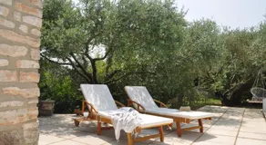 Terre d'Oliviers - Image 2