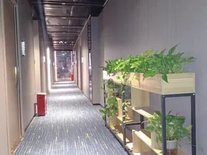 Meili Yangguang Business Hostel - Image 3