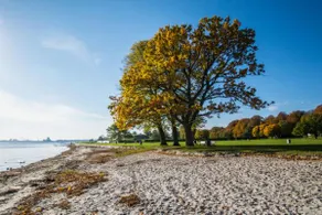 Lys, charmerende, tæt på strand - Image 3