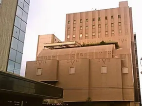 Ota  Now Resort Hotel - Image 5