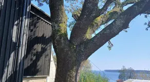 Chambre Perchée avec vue imprenable sur le lac de Lacanau - Image 1
