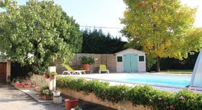 Sous Le Figuier - Image 5