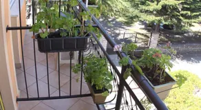 Villa Ohrid Anastasia - Image 4