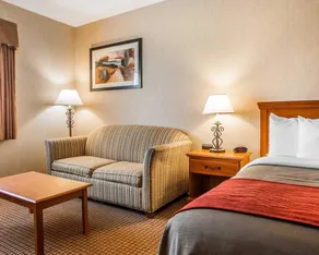 Comfort Inn - Image 2