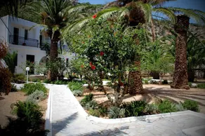 AVRA PALM - Image 5