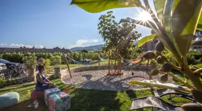Das WeinQuadrat - boutique stay - Image 3