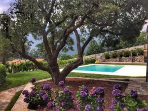 Oleandro 1 apartment in Villa Cerutti - Image 5