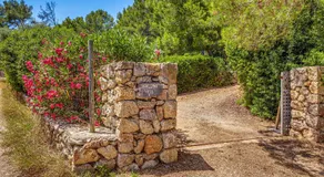 Son del Rio Vell - Image 5