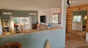 Olives - Image 4