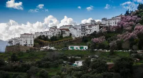 Casa La Puente - Image 3