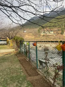 Birdsong pahalgam - Image 5