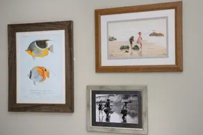 Balfour Arms - Image 4
