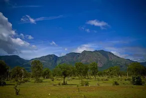 labdhi Resorts Masinagudi- Stag Groups not allowed - Image 2