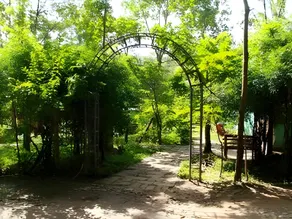 Deep Jungle Home - Image 4
