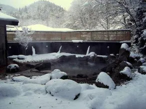 Ainori - Image 4