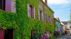 Aux Vendanges de Bourgogne - Image 3