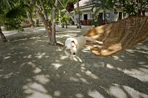 Les Maisons D'Itac - Image 4