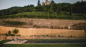 Pitzner - Winery & Suites - Image 5