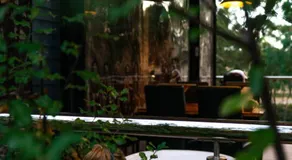 Softfoot Farm Luxury Retreats - Image 5