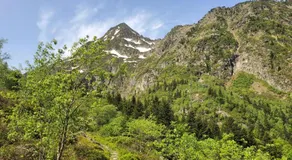Mountain Cocoon - Image 3
