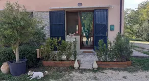 Ai Boschi - Image 3