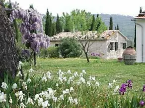 Vignagrande Agriturismo - Image 2