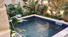 La Maison du Trident en Camargue Piscine et Jacuzzi - Image 5
